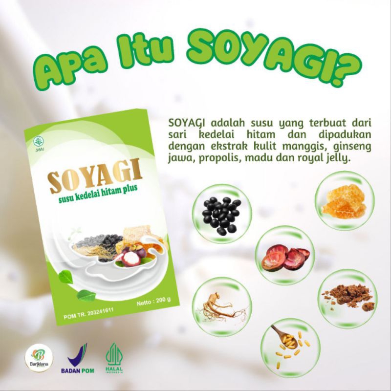 SOYAGI 3 BOX (diet sehat)