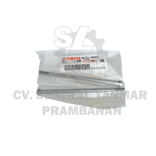 Hexagon Bolt (90101-06M29)