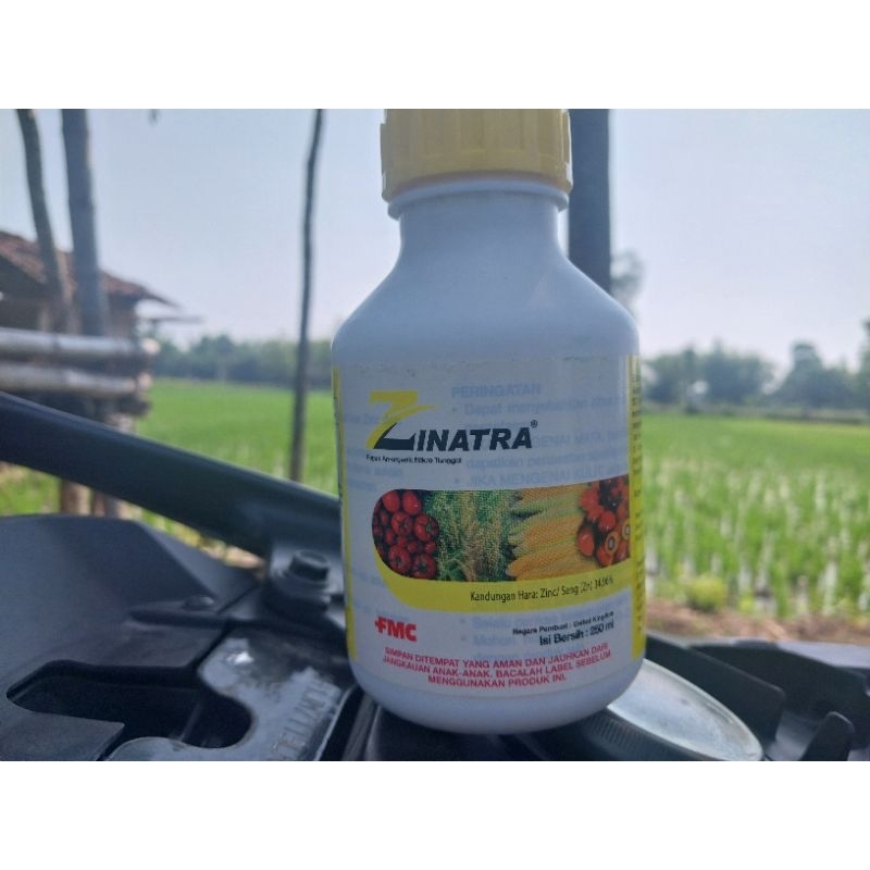ZINATRA