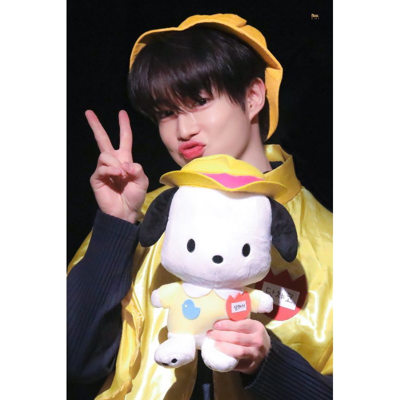 SF9 Photocard