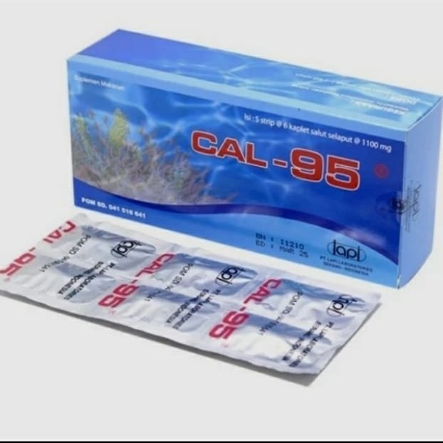 Cal 95
