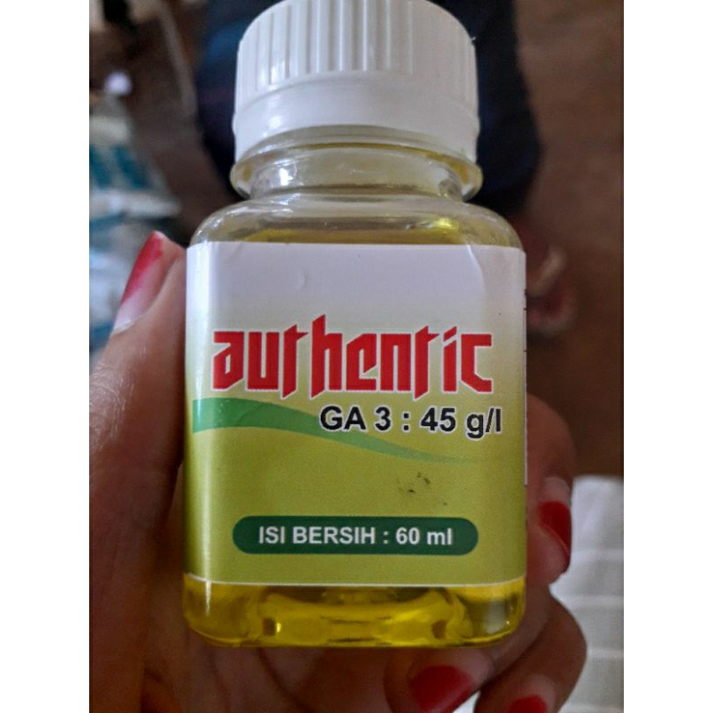 AUNTETHIC obat trubus