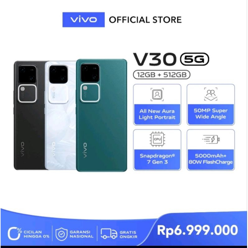 VIVO V30 5G