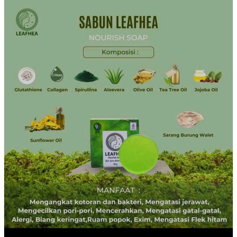 sabun leafhea