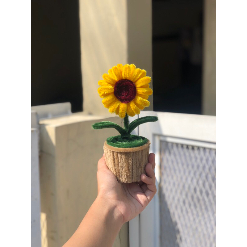 Bunga Pot