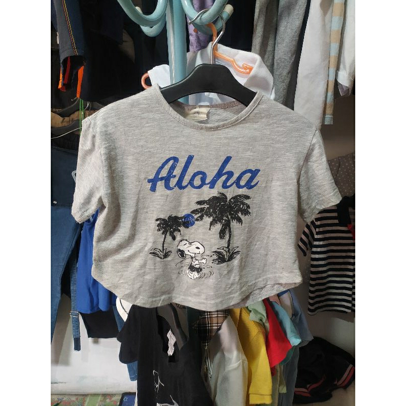 CO link120K
