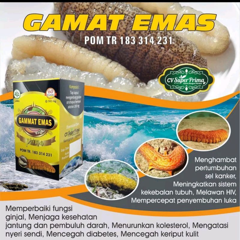 gamat emas