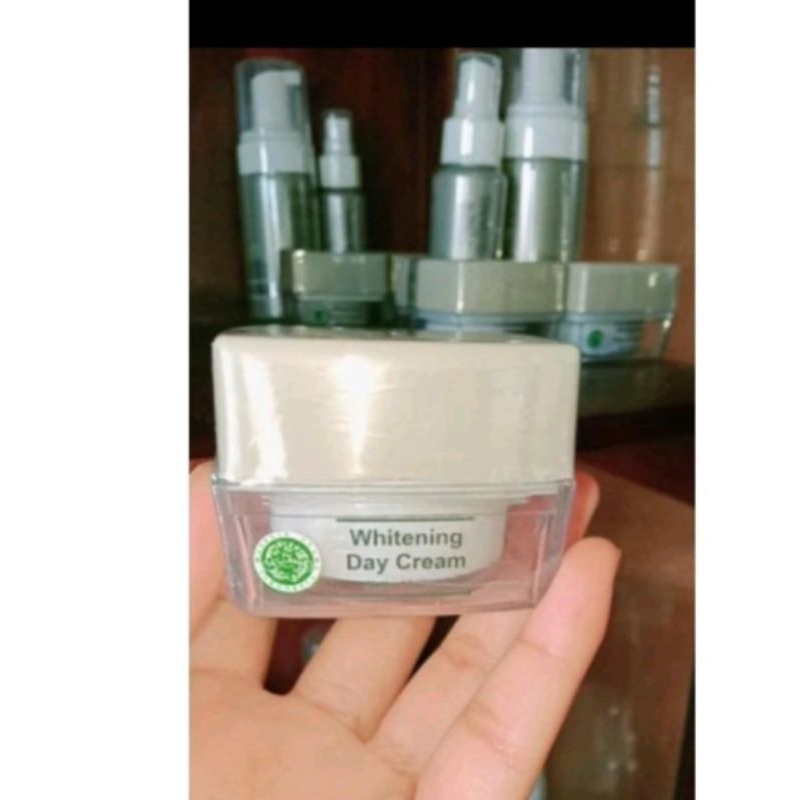 Day cream Msglow