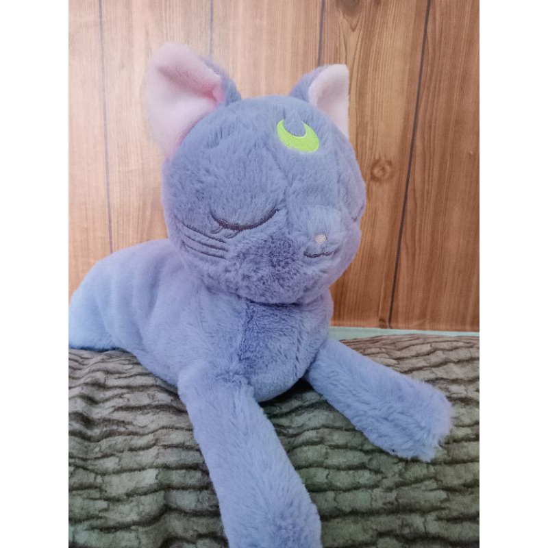 kucing Luna sailormoon