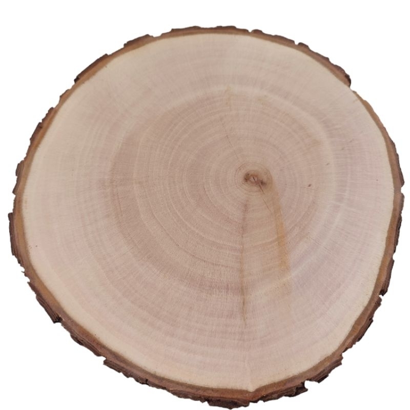 woodslice diameter 23-27 cm