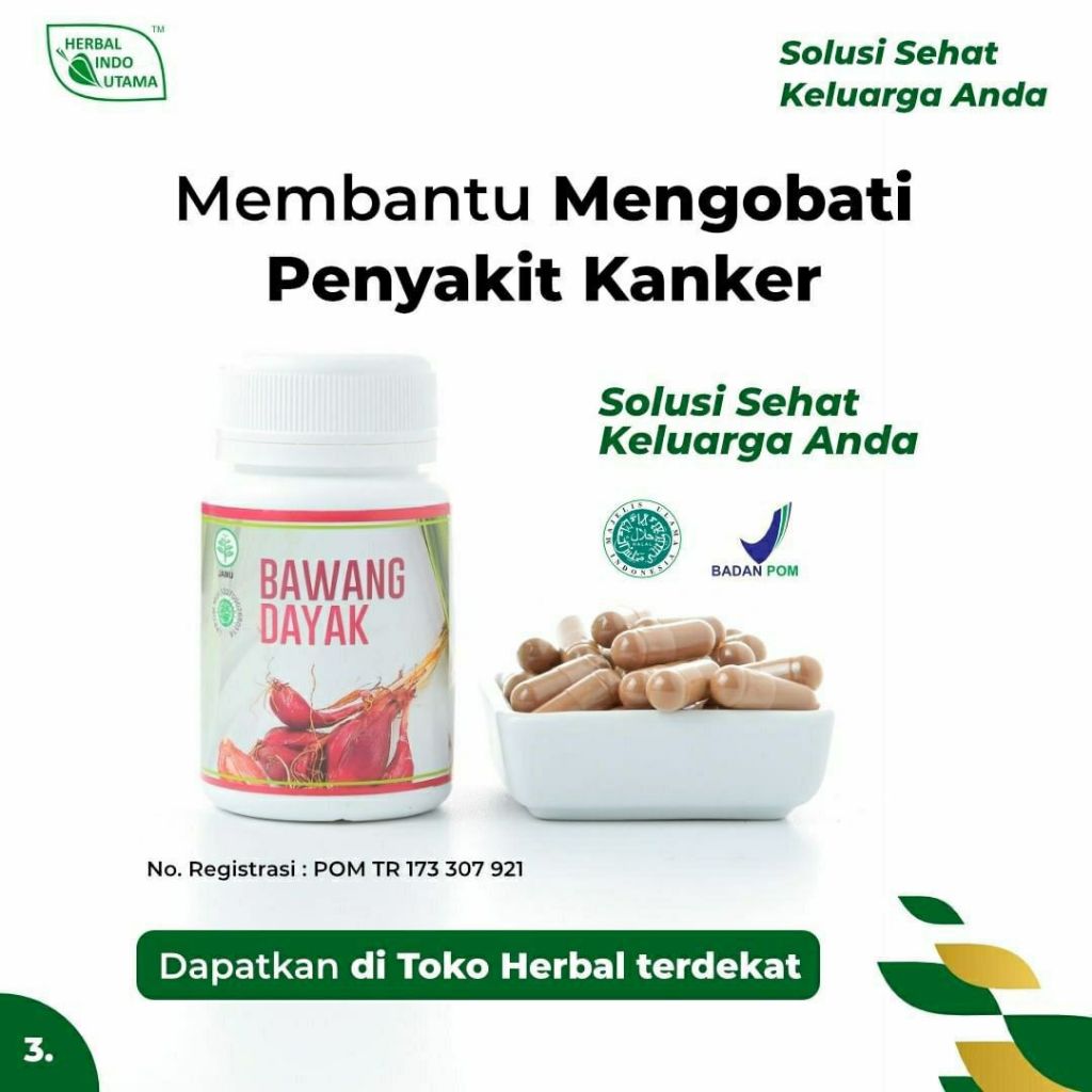 BAWANG DAYAK