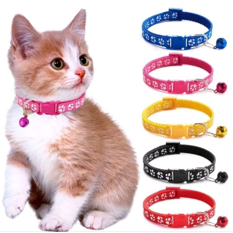 kalung kucing lonceng