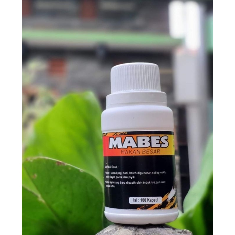Mabes Baron