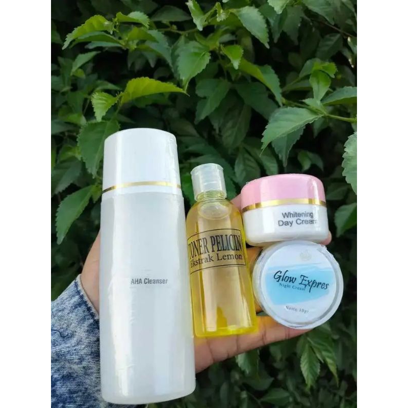 paket 4in wdc farma glow express super