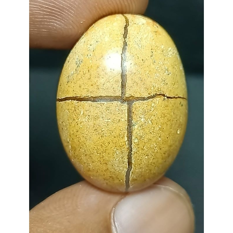 Batu Posil Tapak