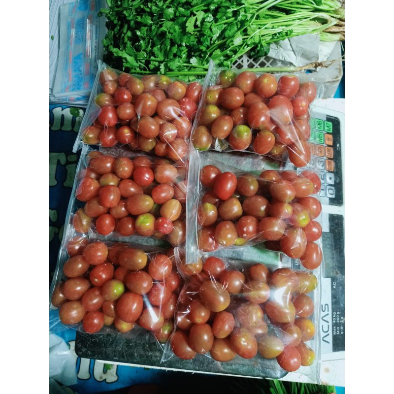 Tomat Cherry