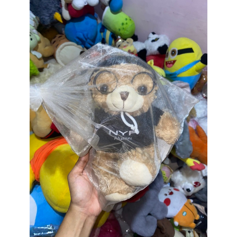 Boneka teddy kacamata