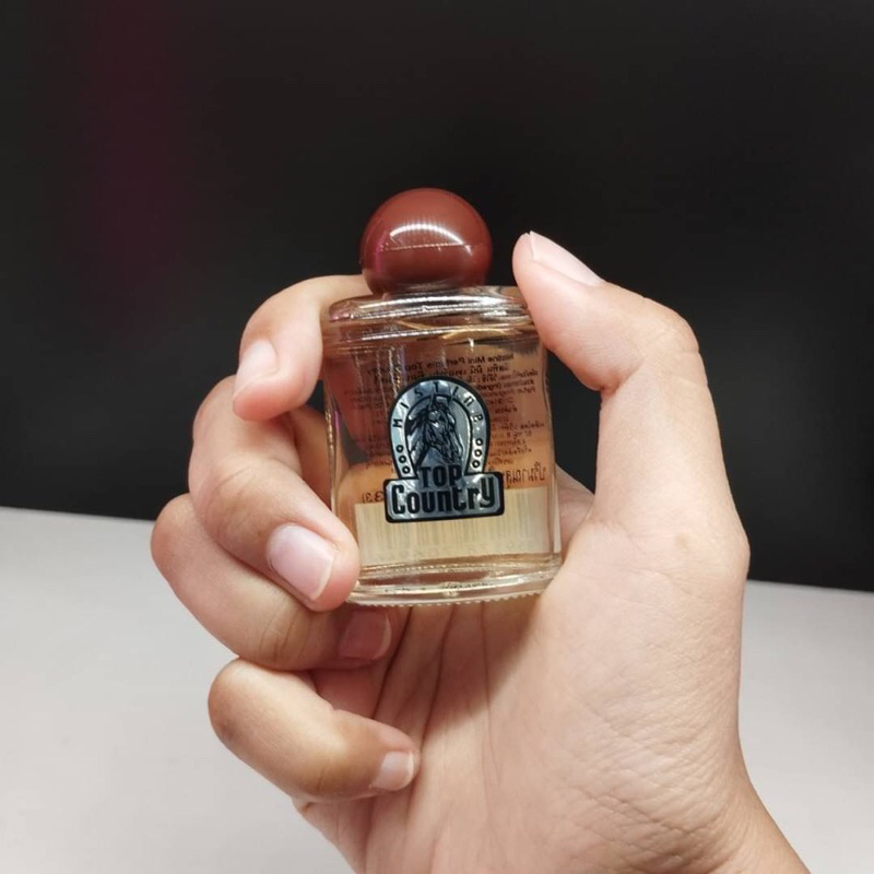 MISTINE MINI PARFUM TOP COUNTRY