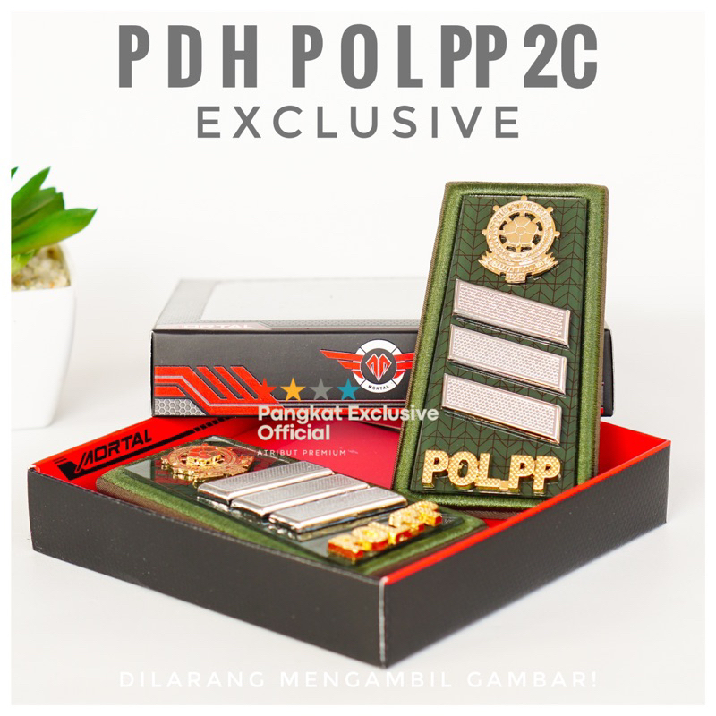 Pangkat satpol pp 2c - pangkat polpp 2c -MORTAL