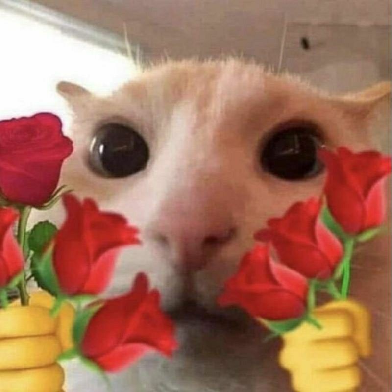 Booked by DM