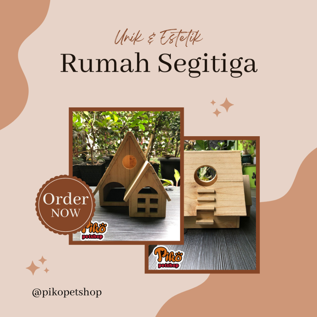 Rumah Hamster Model Unik
