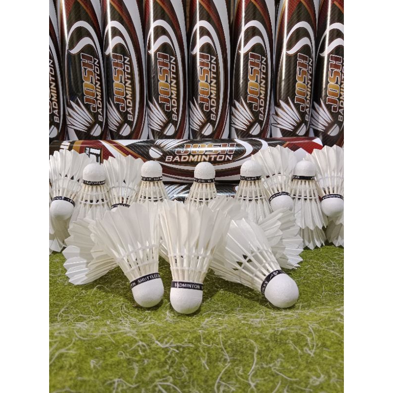 Josh shuttlecock