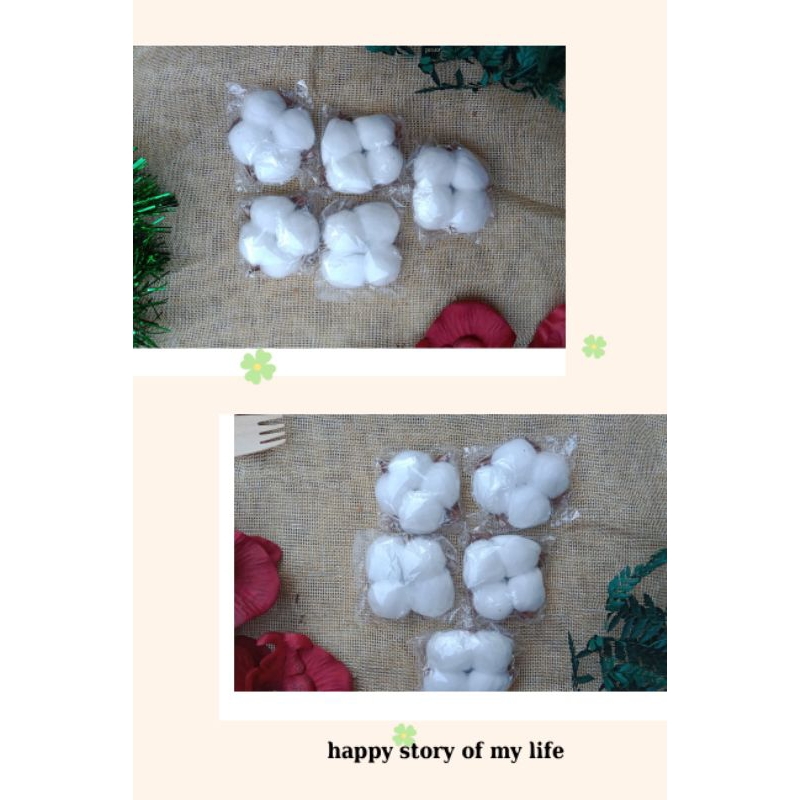 BUNGA KAPAS/COTTON FLOWER MURAH