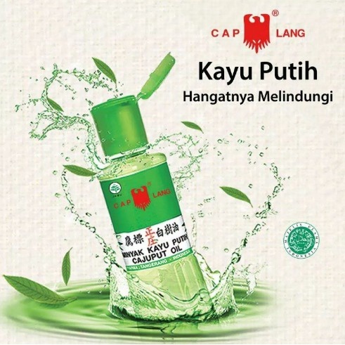 MInyak kayu Putih#Caplang