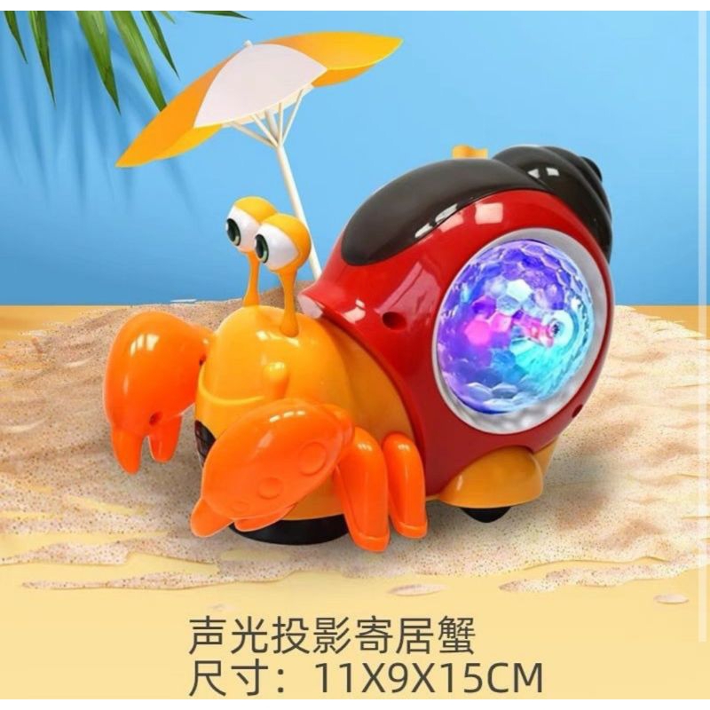 Hermit Crab ~ No.8029B