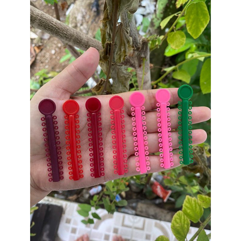 Karet biasa