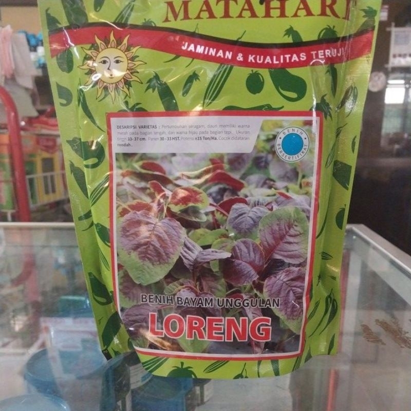 Benih Bayam LORENG