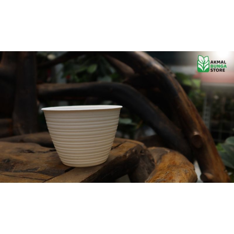 Pot tawon 10 cm