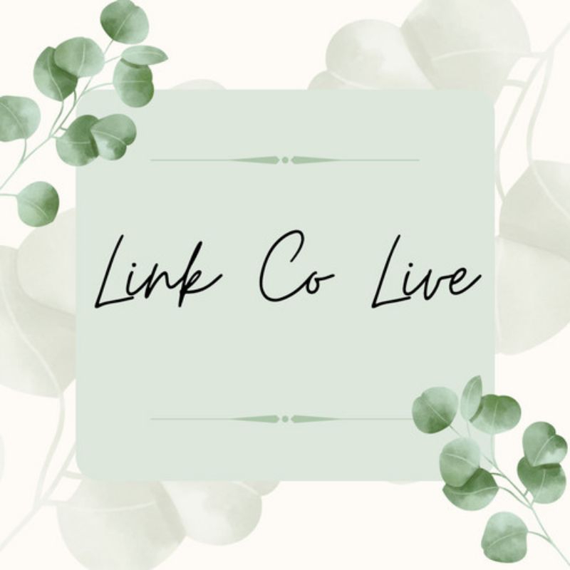 link co 10-25