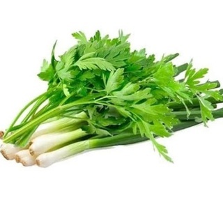 DAUN BAWANG SELEDRI