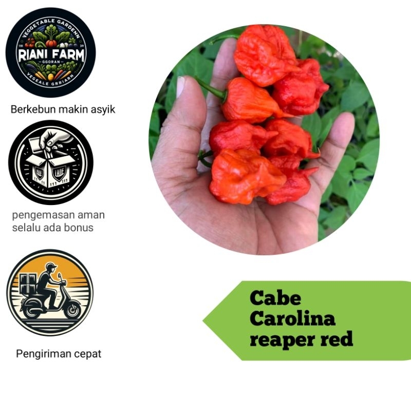 Carolina reaper red