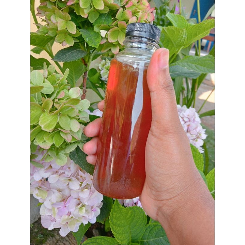 madu murni