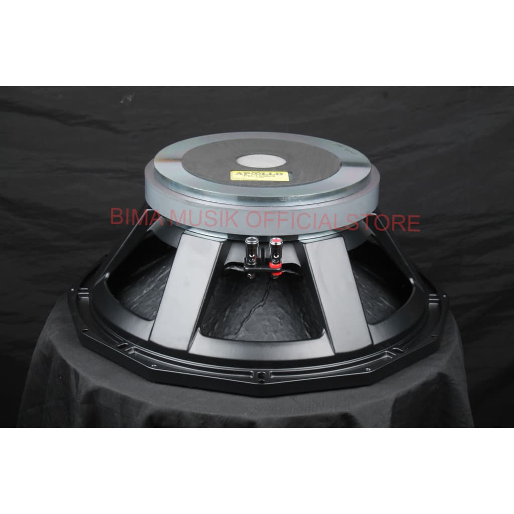 Speaker Komponen APOLLO PD 155O/2