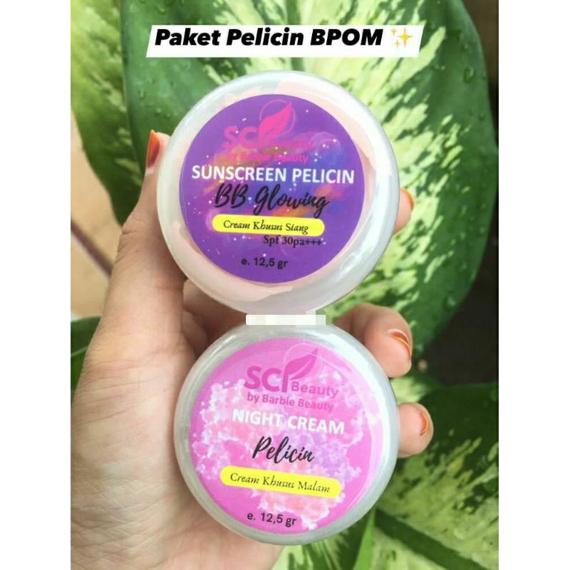 paket SCL siang malam