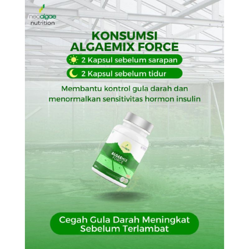 Algaemix Force isi 60 kapsul.