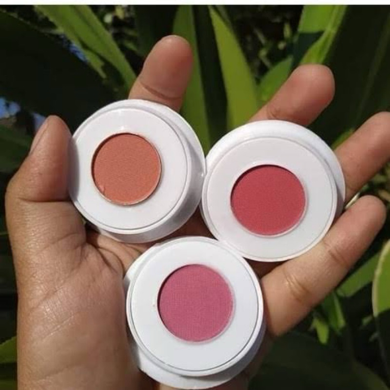 blush on Viva