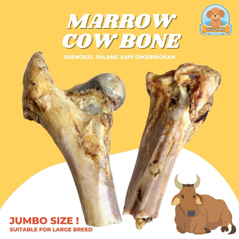 Marrow Cow Bone / tulang sapi / snack anjing