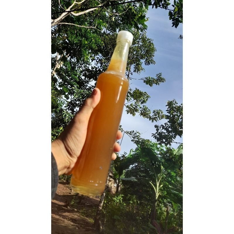 madu hutan Lindung