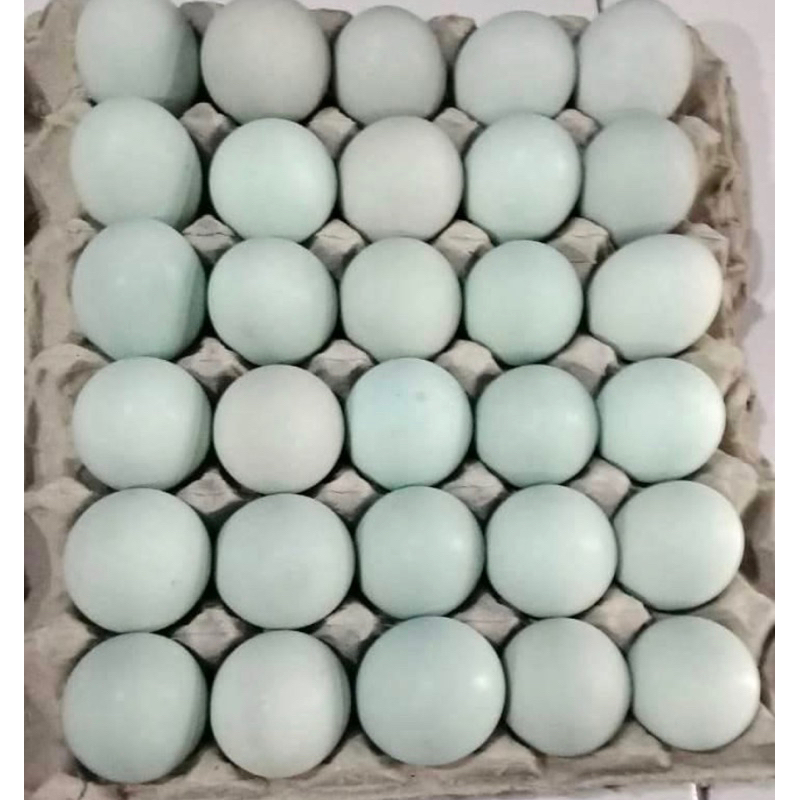 Telur bebek Mpasi