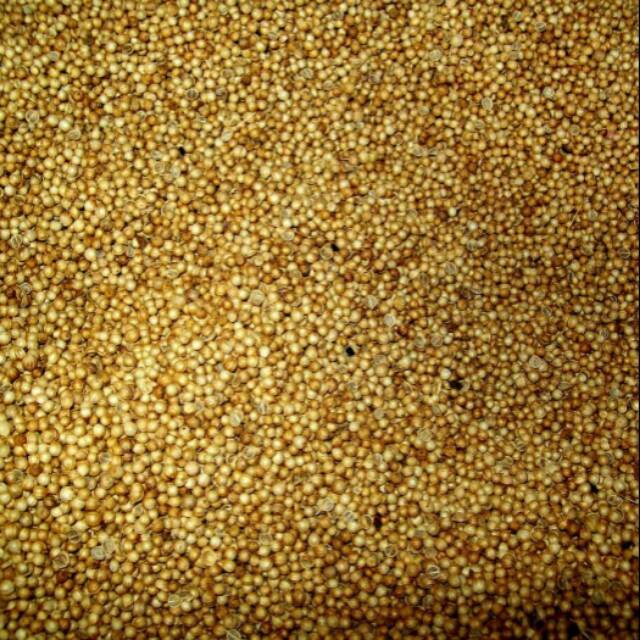 Ketumbar Bulat 50 gr