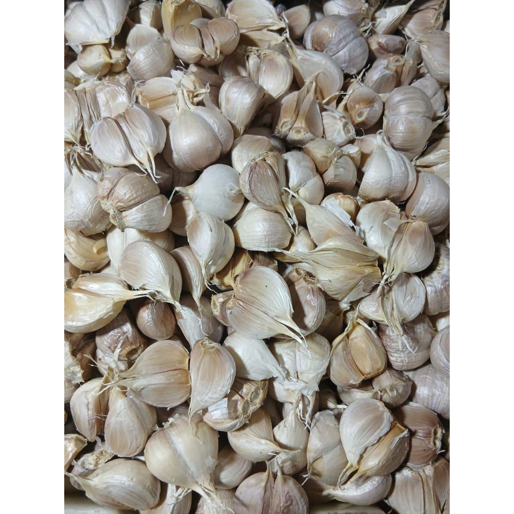 Bawang Putih Kating 250 gram