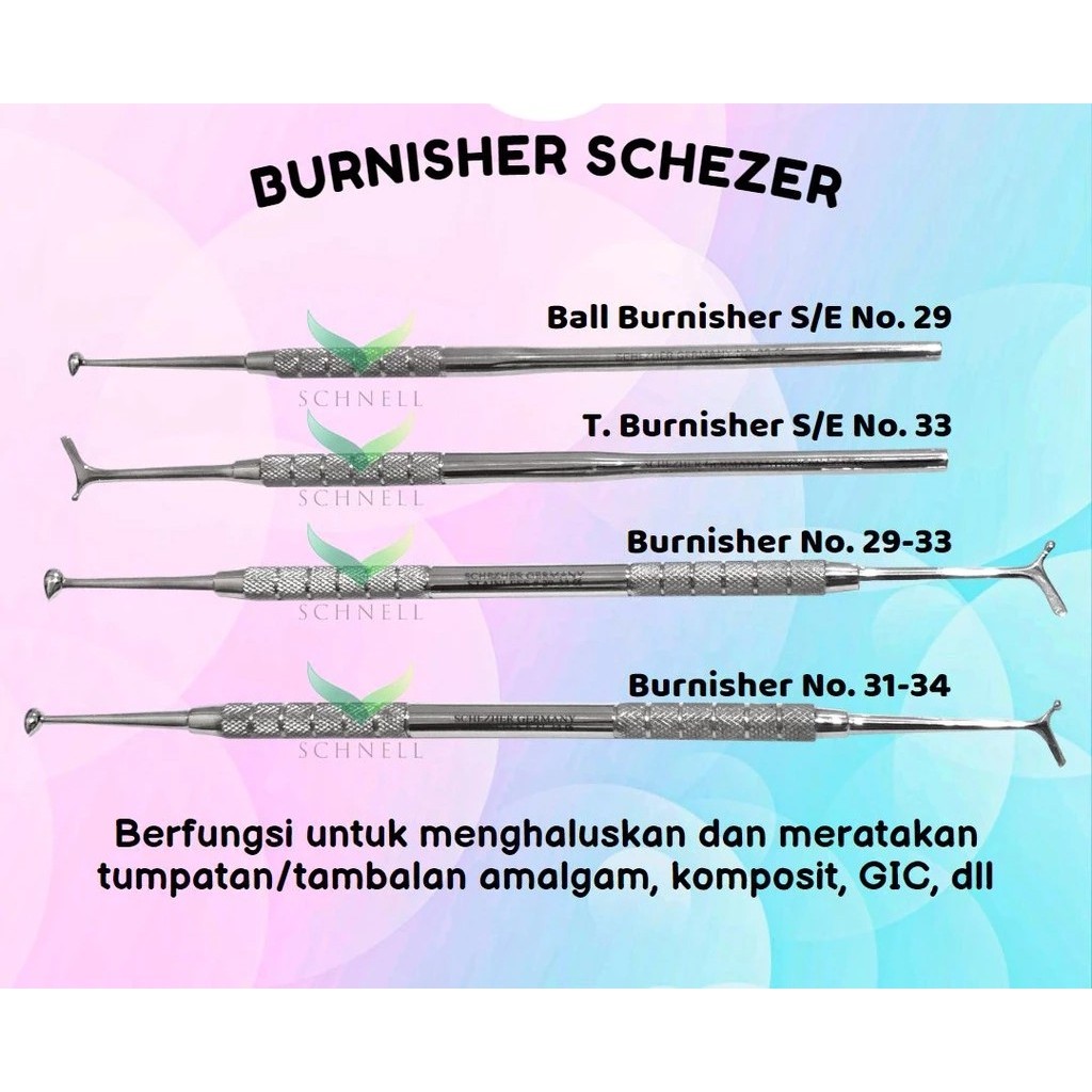 Burnisher Schezer Dental Instruments
