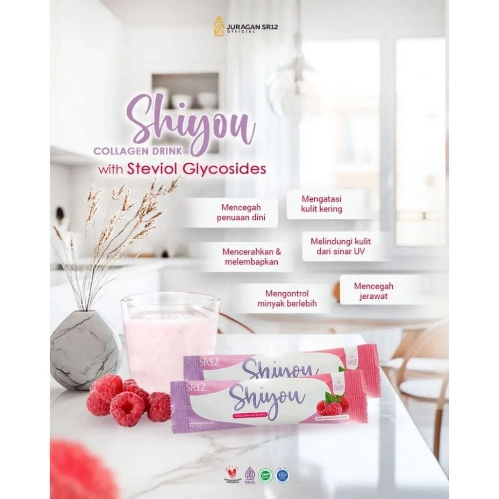 SHIYOU SR12SACHET