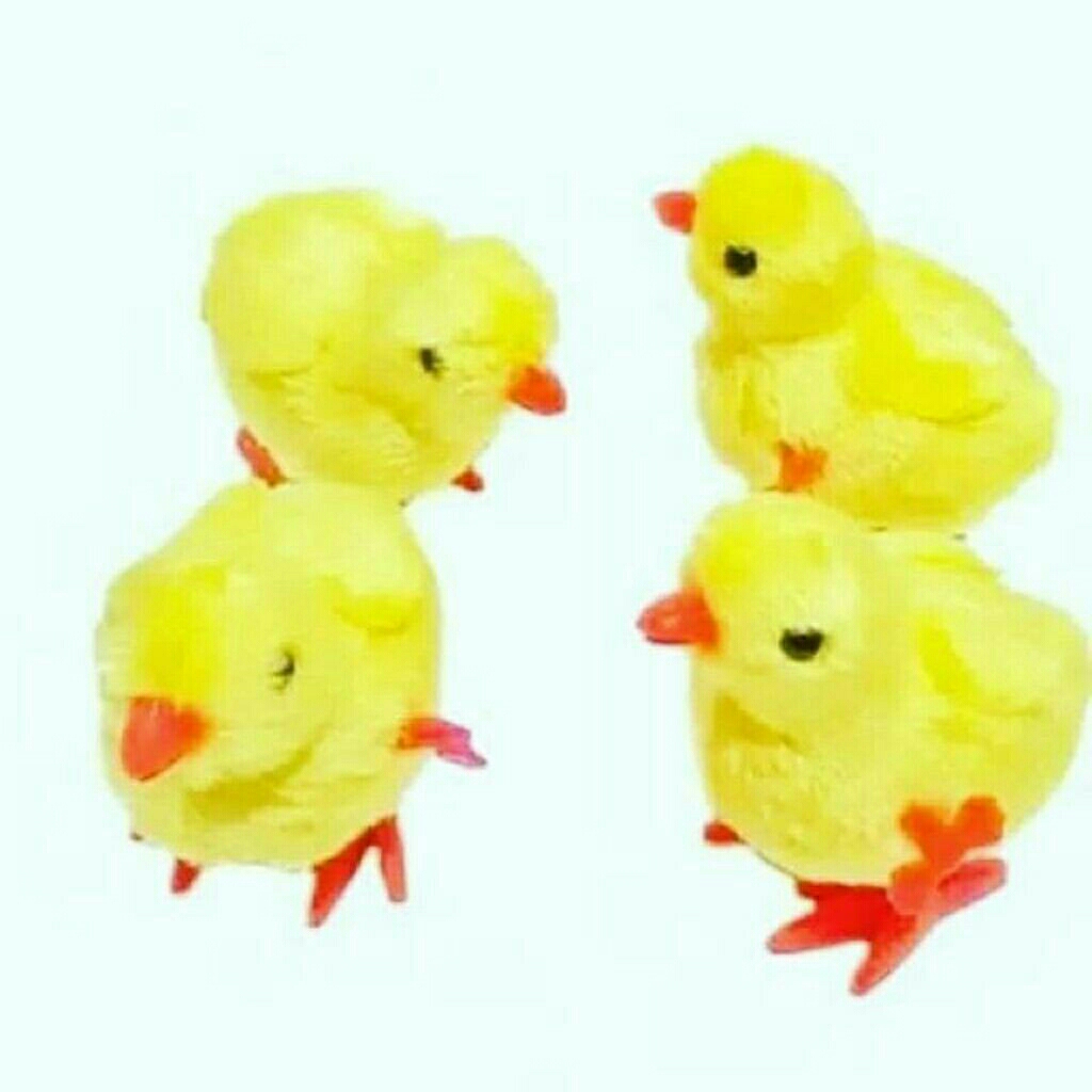 Mainan Anak Ayam Putar Lucu
