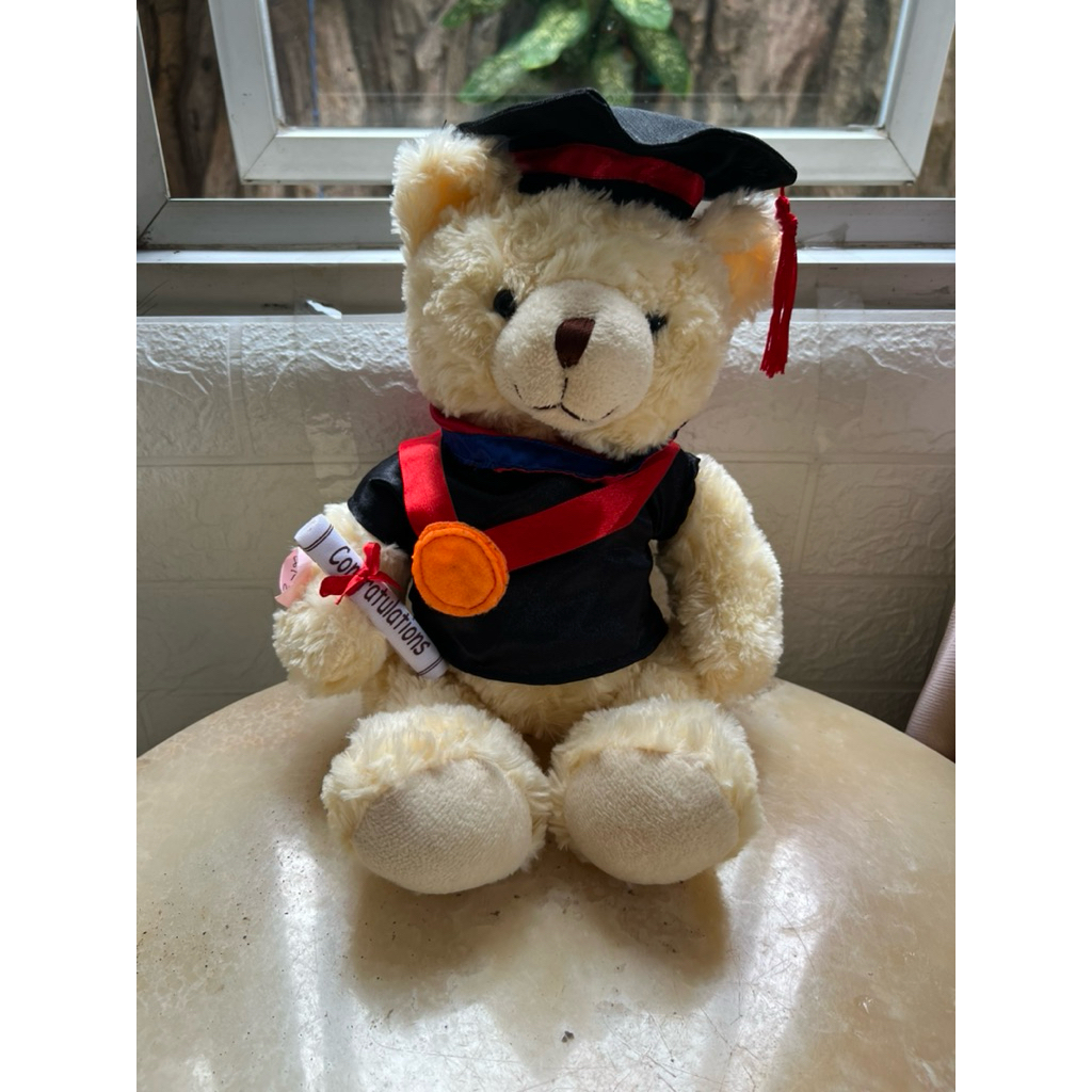 boneka BEAR wisuda/toga