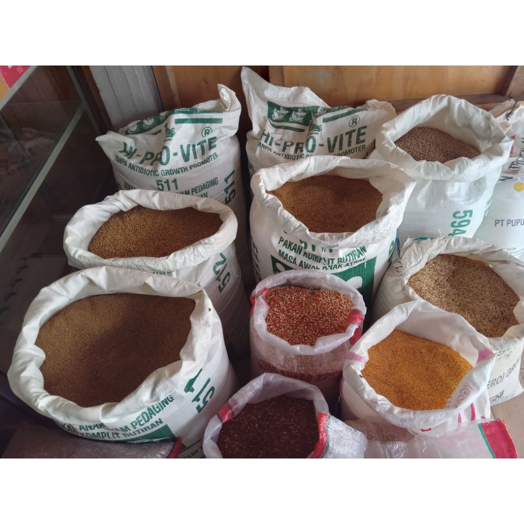 pakan ayam